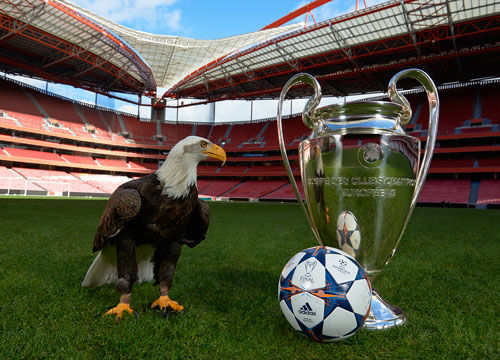 祸从口出！官方：多次争议言论，艾梅加被斯特拉斯堡队内禁赛